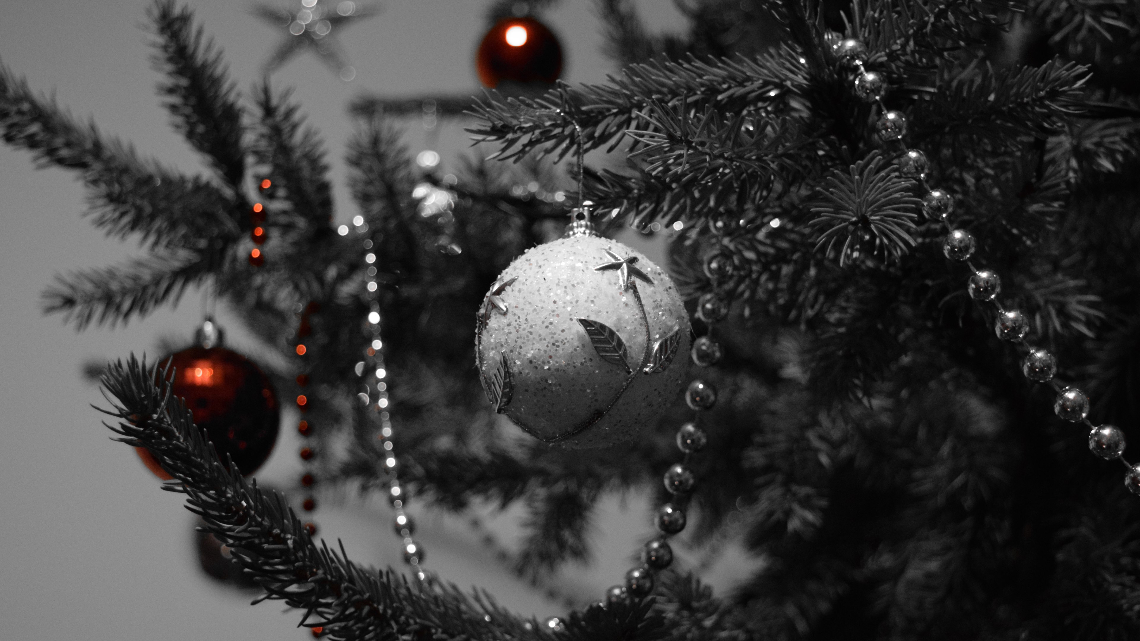 black christmas wallpaper,christmas ornament,tree,black,branch,christmas tree