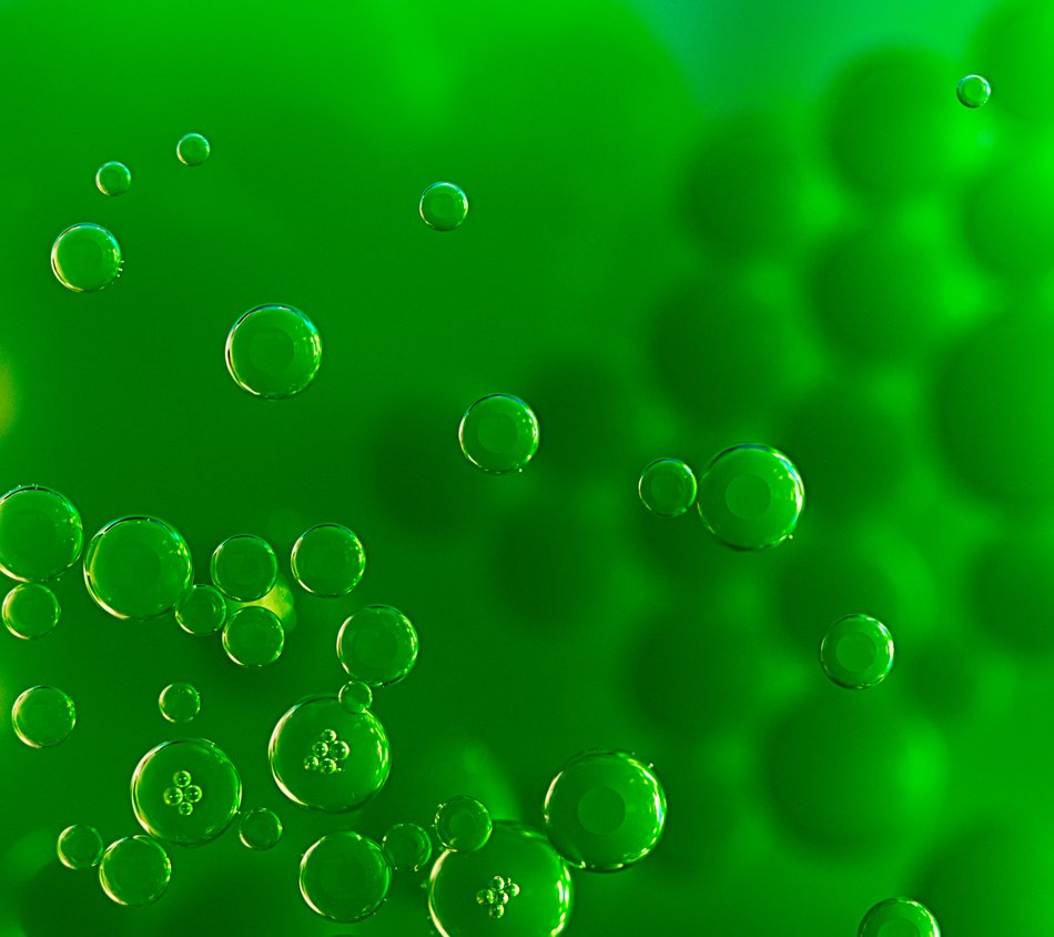 droid turbo wallpaper,green,water,organism,macro photography,dew