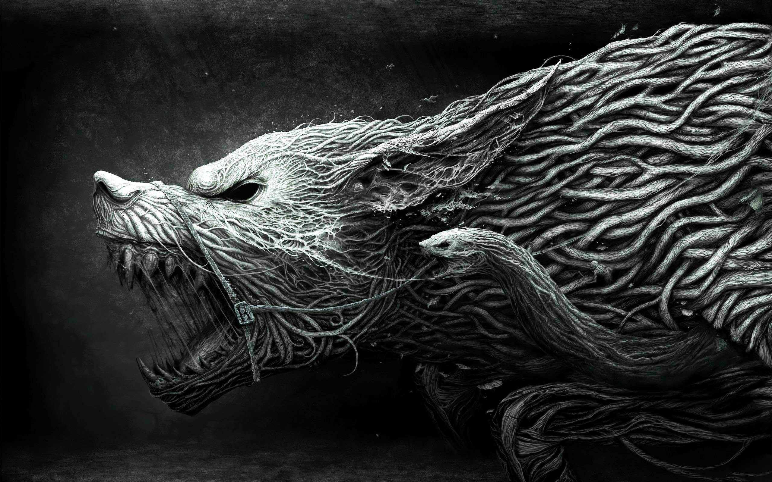 rune wallpaper,illustration,black and white,organism,art,carnivore