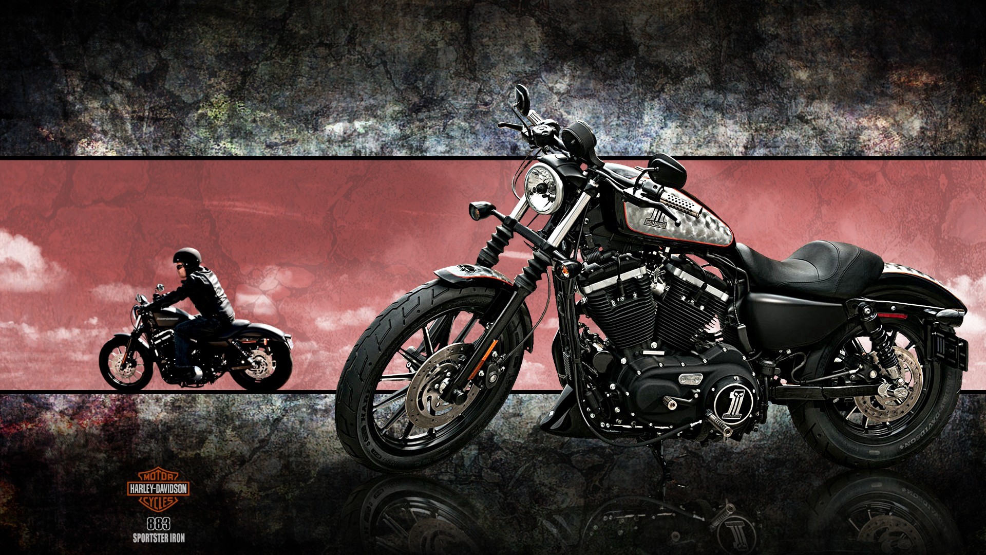 harley davidson iron 883 hd wallpaper,land vehicle,vehicle,motorcycle,motor vehicle,motorcycling