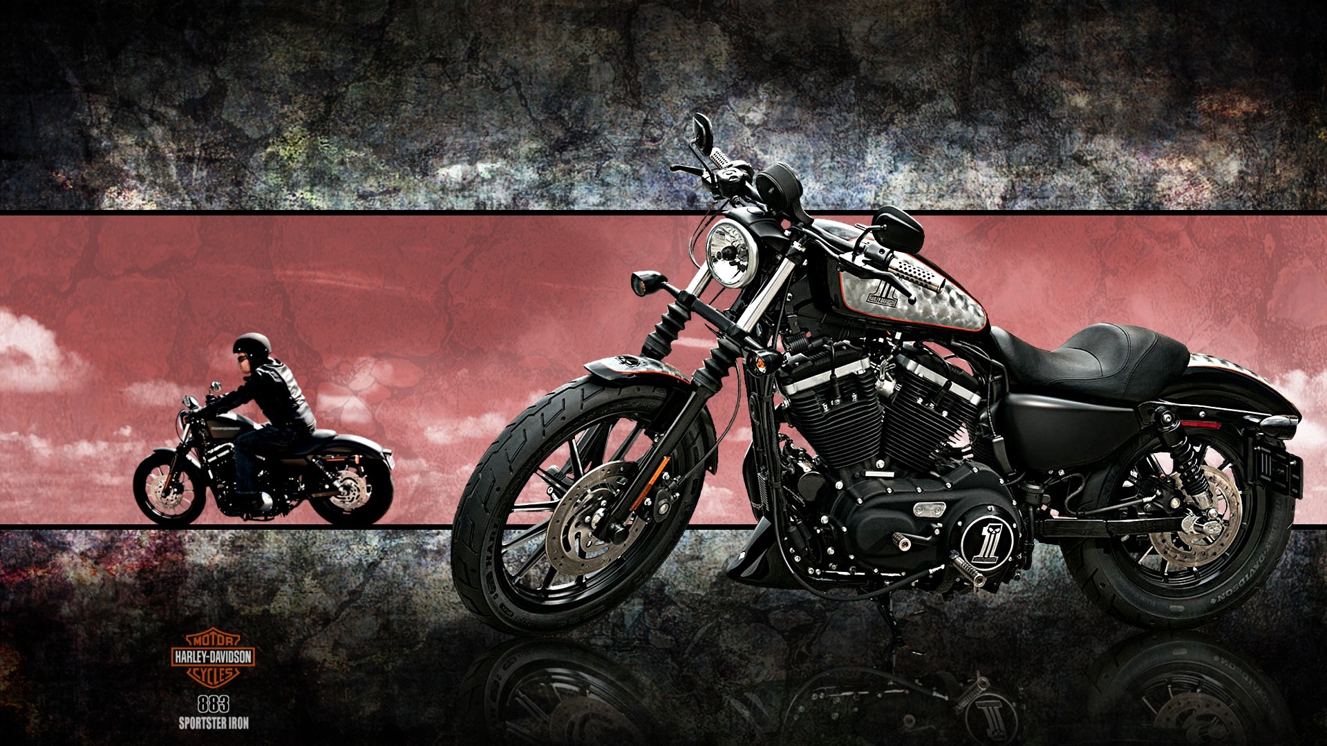 harley davidson eisen 883 hd wallpaper,landfahrzeug,fahrzeug,motorrad,kraftfahrzeug,motorrad fahren