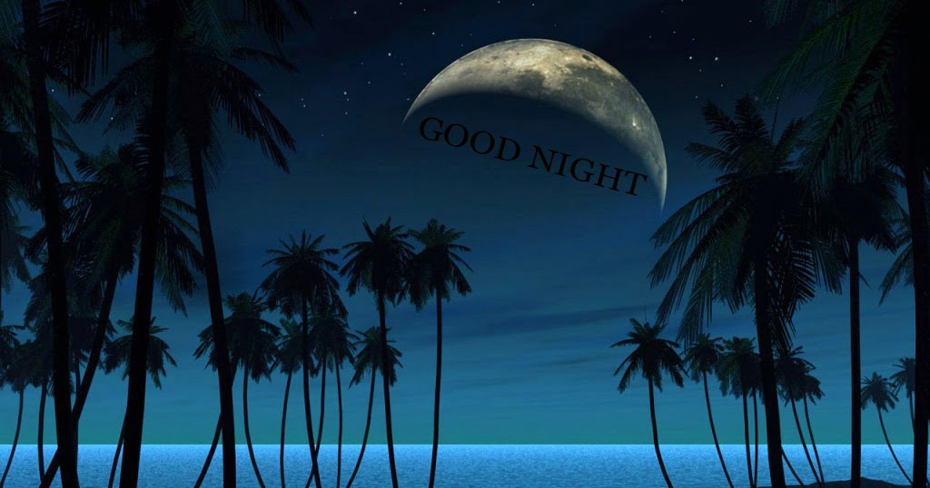 gud night wallpaper hd,luna,cielo,natura,chiaro di luna,albero