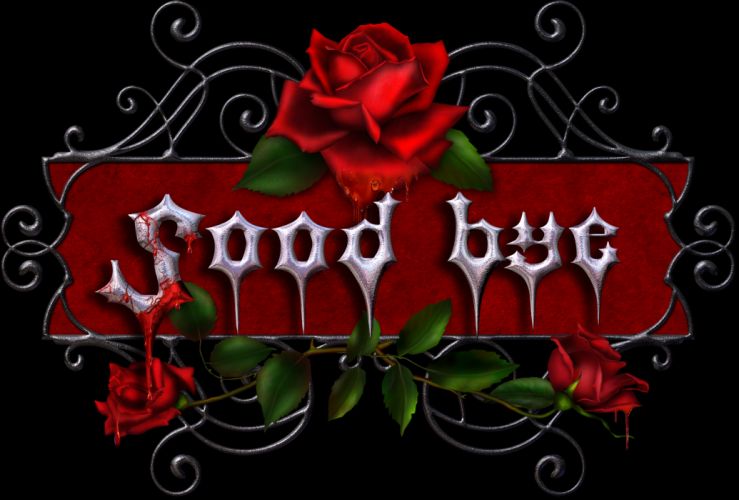 pretty rose wallpapers,red,rose,text,flower,font