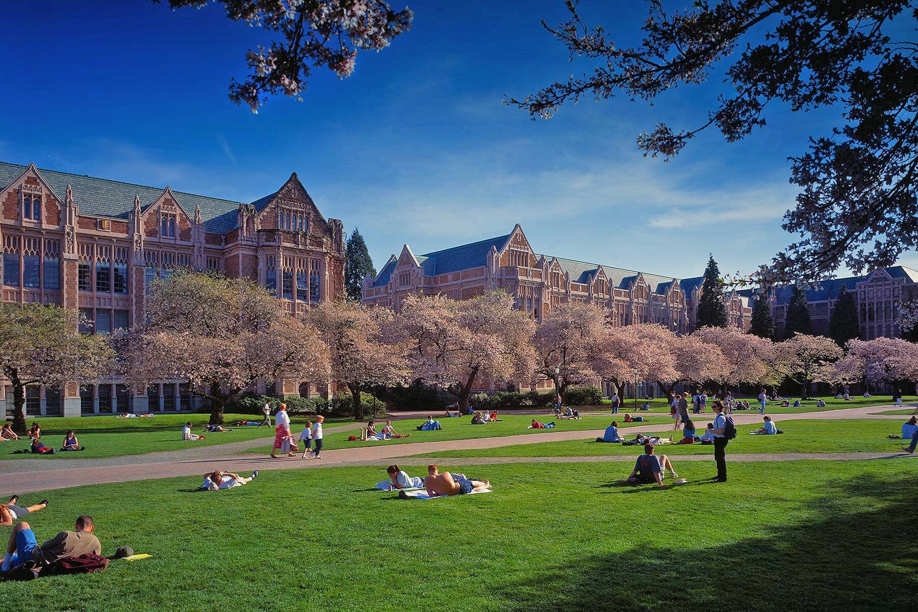 University Of Washington Seattle WallpaperUse