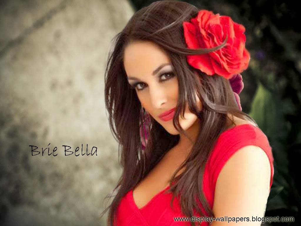 nikki bella hd wallpaper,hair,red,beauty,lip,pink