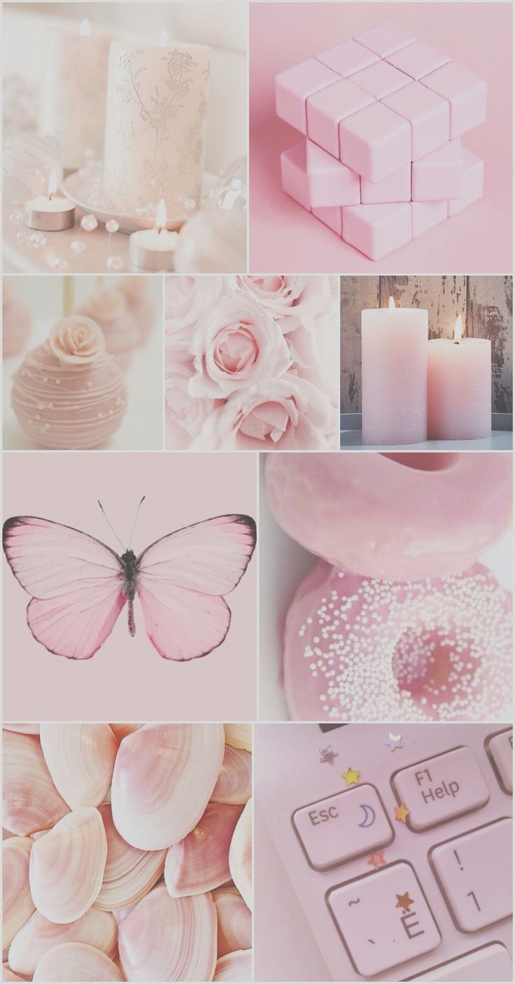 라이트 핑크 아이폰 배경 화면,분홍,나비,생성물,나방과 나비,방