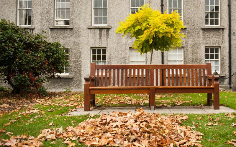 chair wallpaper hd,bench,outdoor bench,tree,leaf,furniture