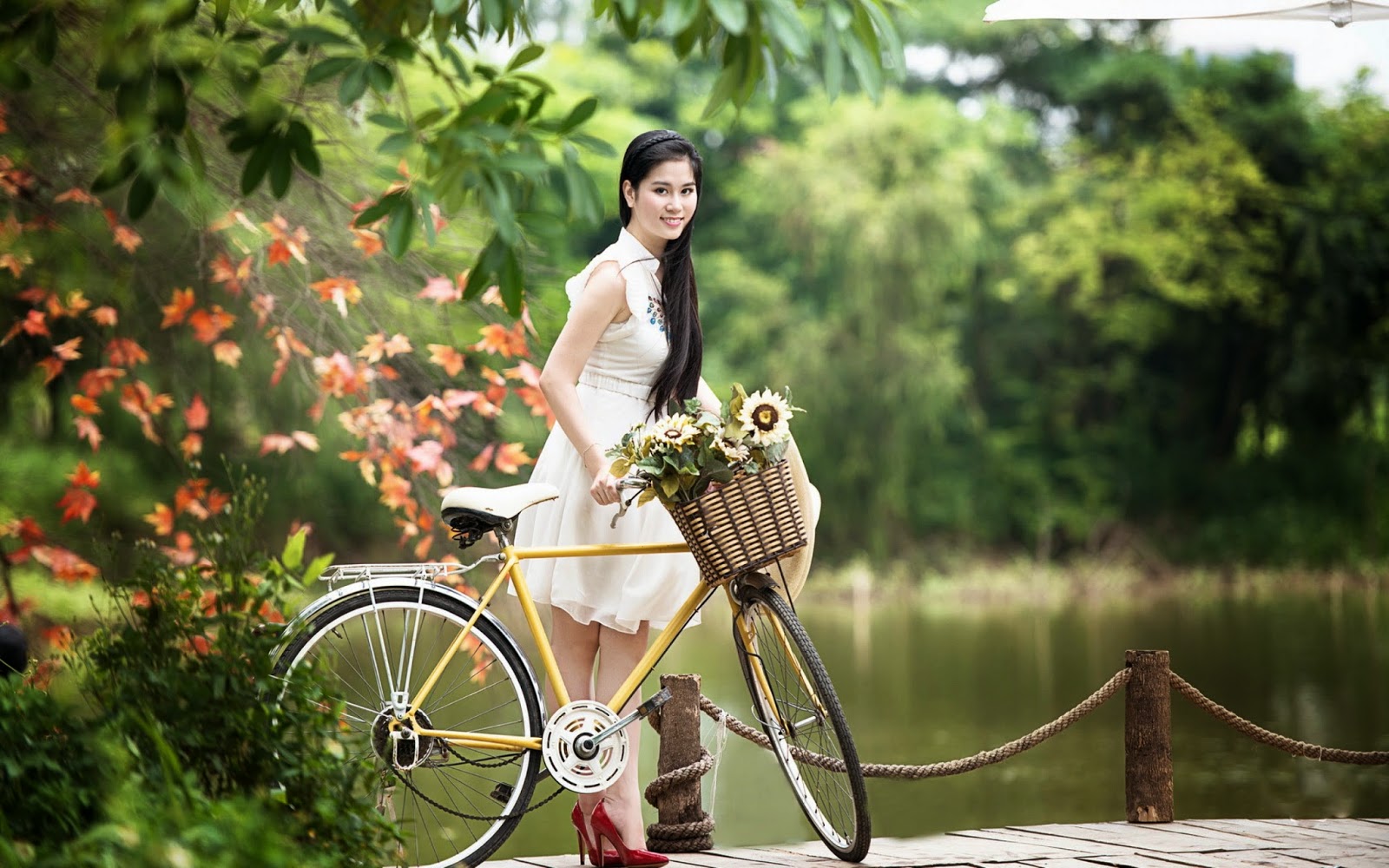 nice and cute wallpaper,bicycle,bicycle part,photograph,nature,bicycle accessory