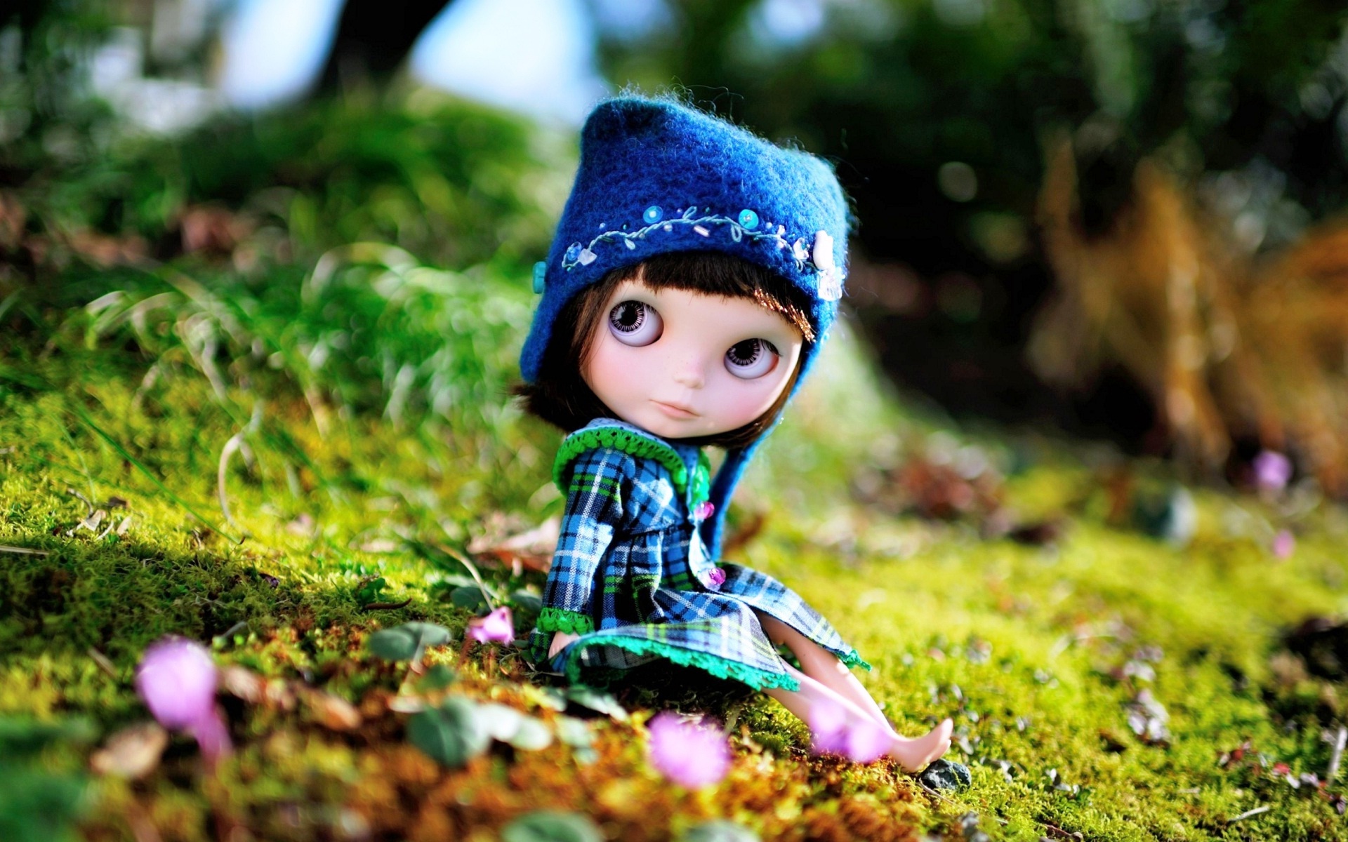 nice and cute wallpaper,people in nature,doll,toy,leaf,grass