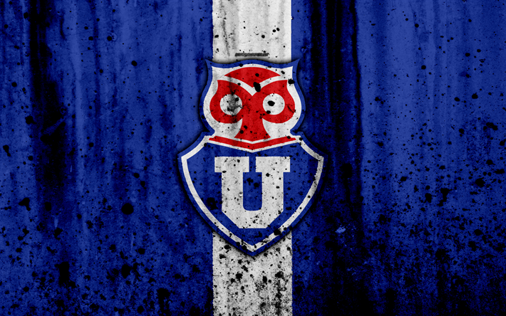 Wallpaper U De Chile Lion Felidae Font Big Cats Logo 210761 Wallpaperuse