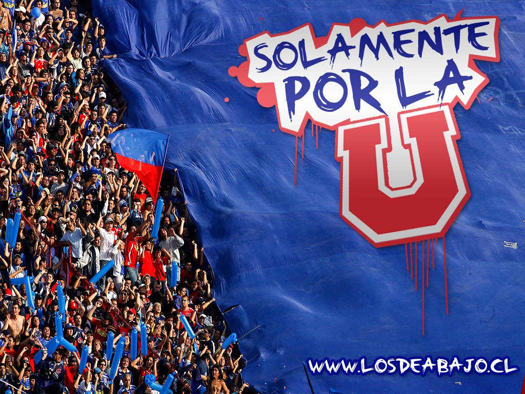 wallpaper u de chile,fan,product,banner,crowd,team