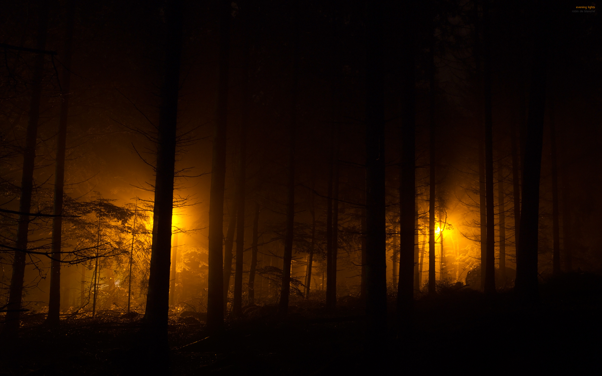 fond d'écran sombre hd,ciel,la nature,arbre,ténèbres,lumière