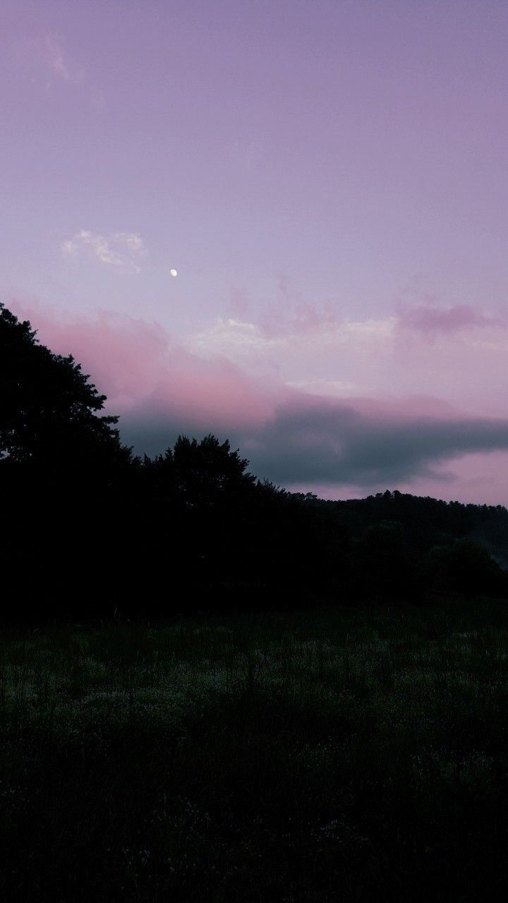 nice wallpaper tumblr,sky,nature,atmospheric phenomenon,purple,pink