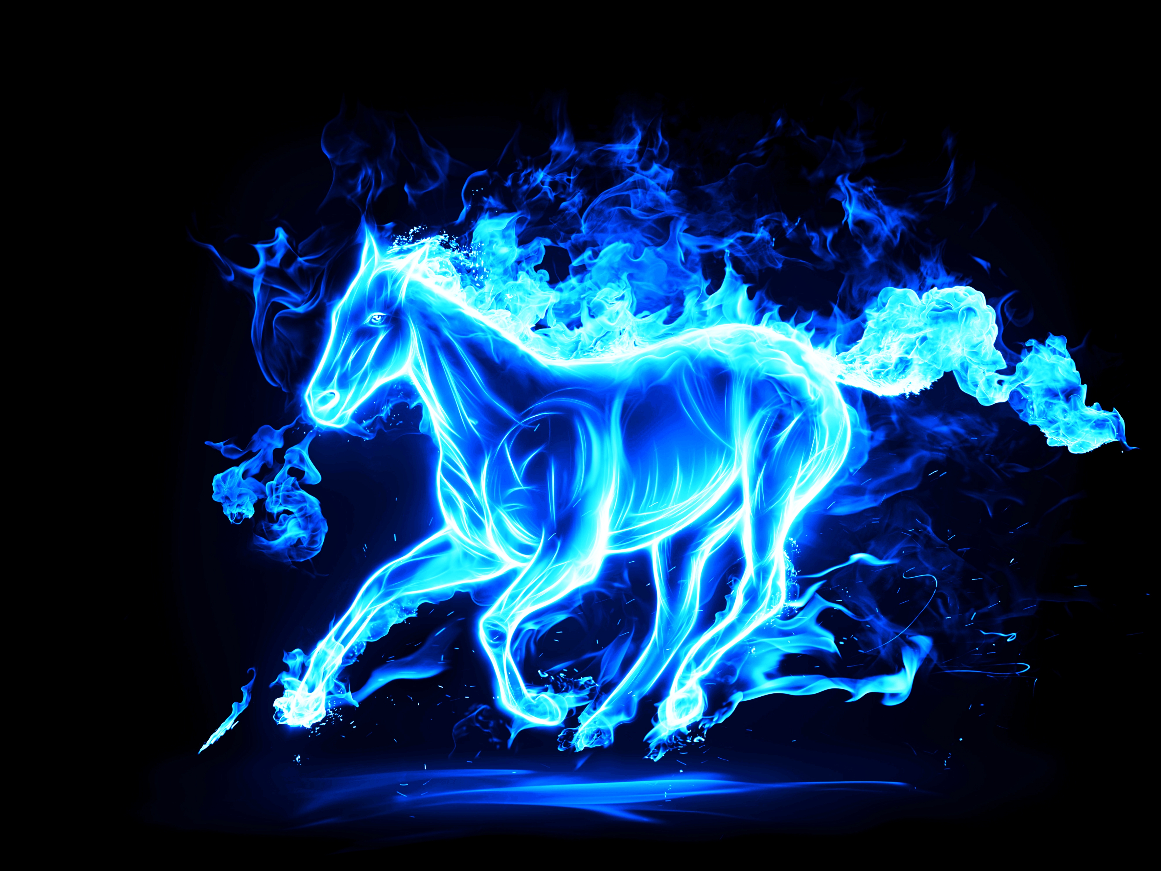 blue fire wallpaper hd,blue,horse,electric blue,light,neon