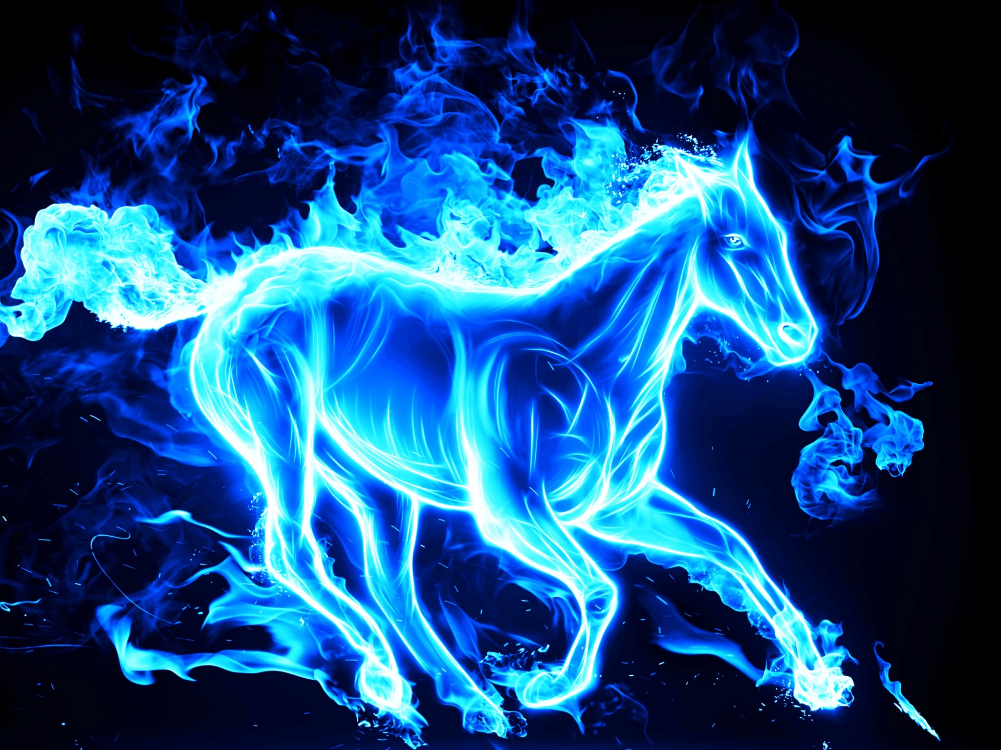 blue fire wallpaper hd,blue,electric blue,organism,horse,graphic design