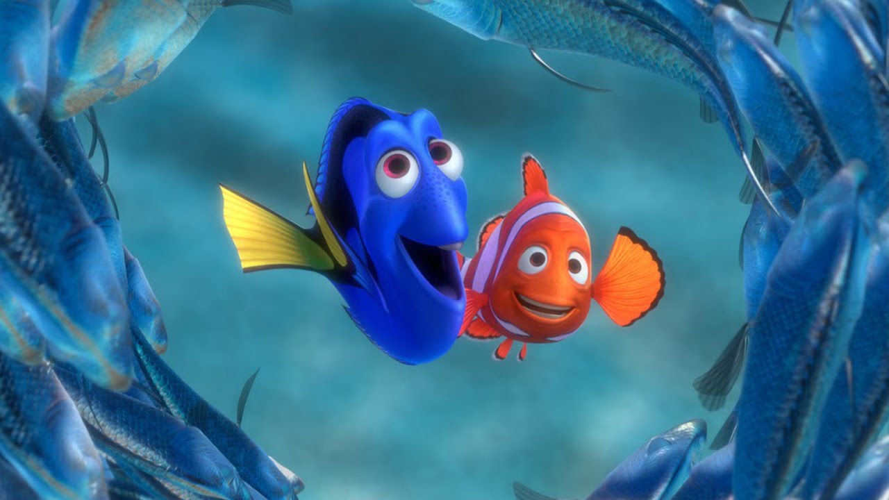 finding dory wallpaper,fish,fish,anemone fish,marine biology,pomacentridae