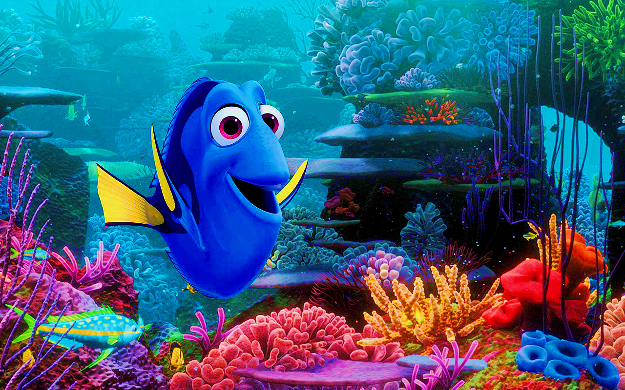 finding dory wallpaper,fish,fish,coral reef,reef,marine biology