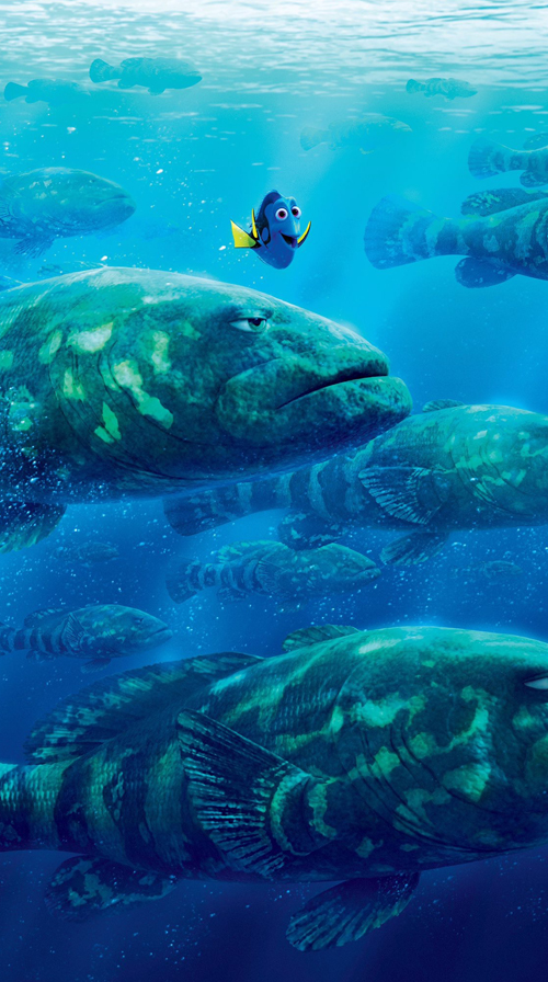 finding dory wallpaper,green sea turtle,marine biology,organism,underwater,water