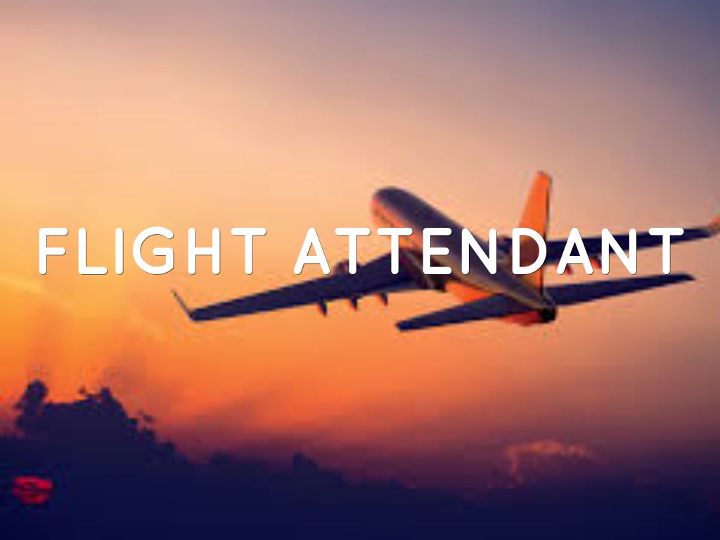flight attendant wallpaper,airplane,air travel,aircraft,aviation,airline