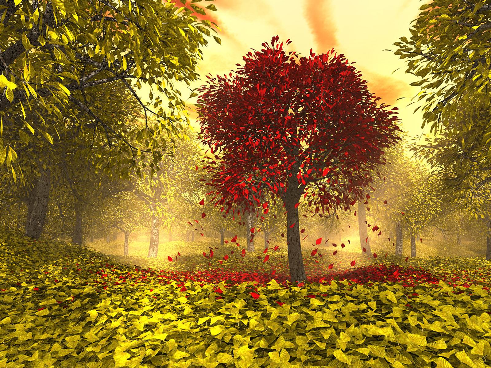 壁紙meteo,自然の風景,自然,木,葉,赤