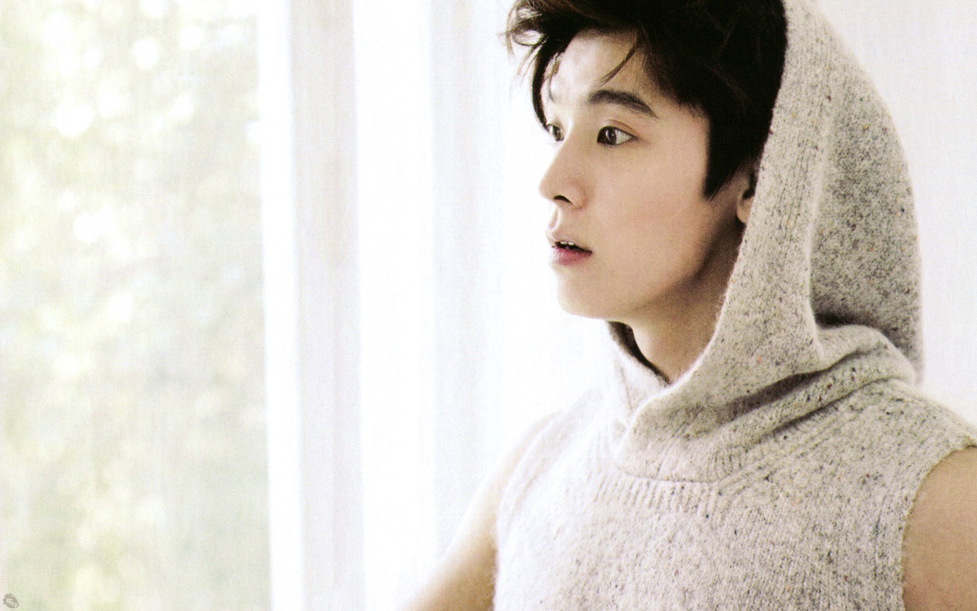 donghae wallpaper,cabello,belleza,peinado,frente,hombro