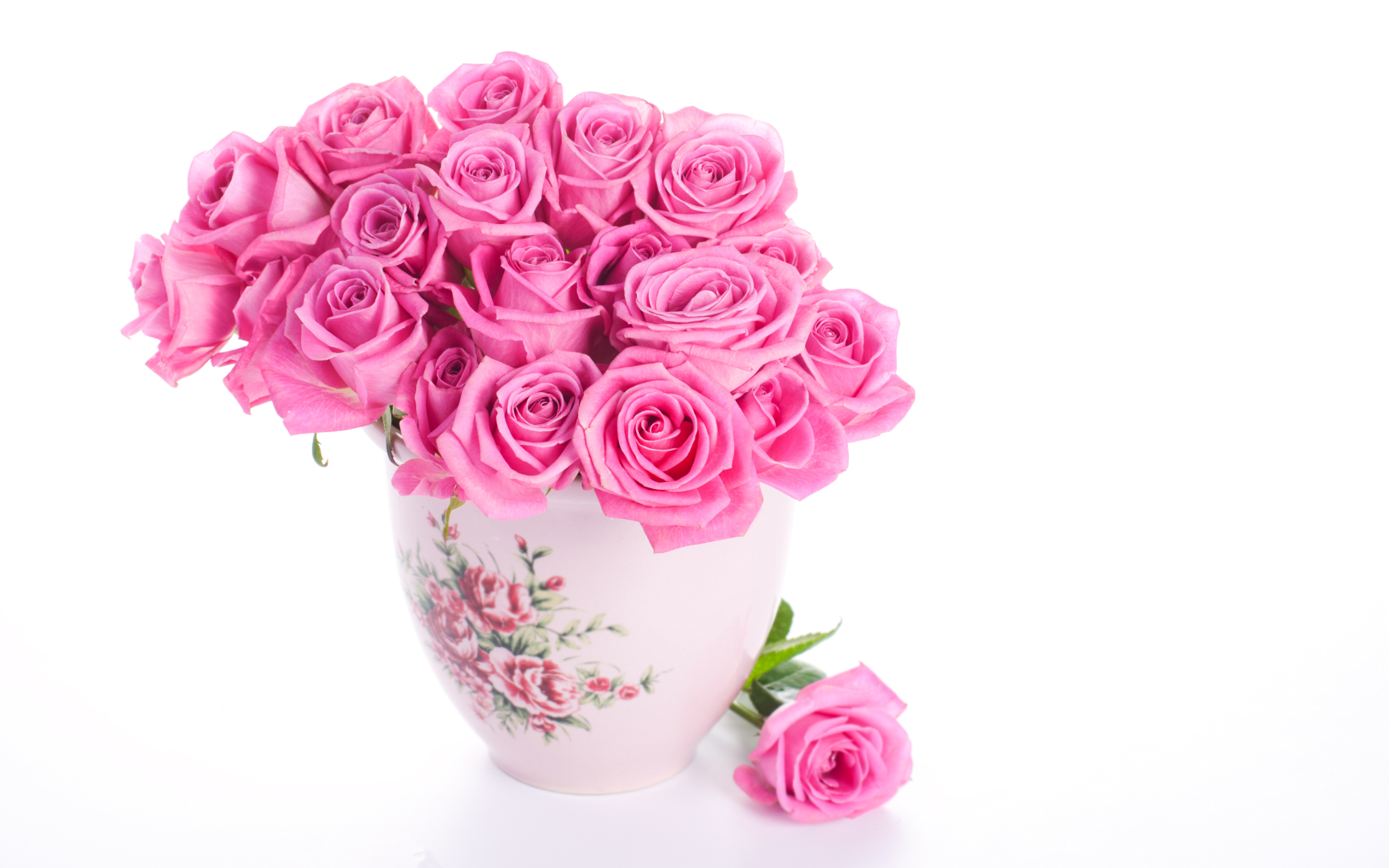 부드러운 벽지,분홍,꽃,정원 장미,장미,꽃을 자르다