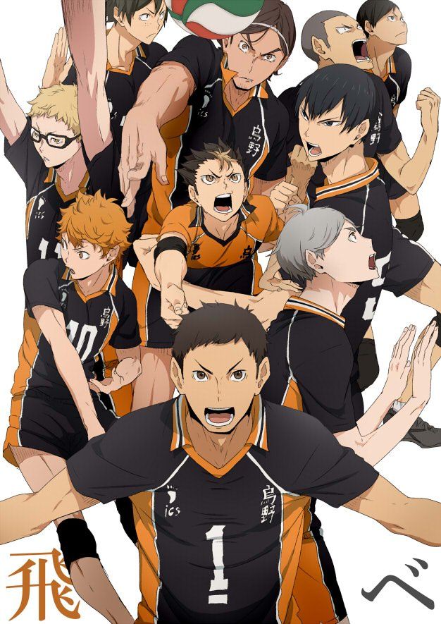 carta da parati karasuno,squadra,cartone animato,anime,giocatore di pallavolo,animazione