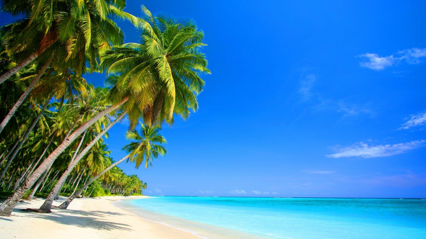 carta da parati isla,cielo,natura,albero,paesaggio naturale,caraibico