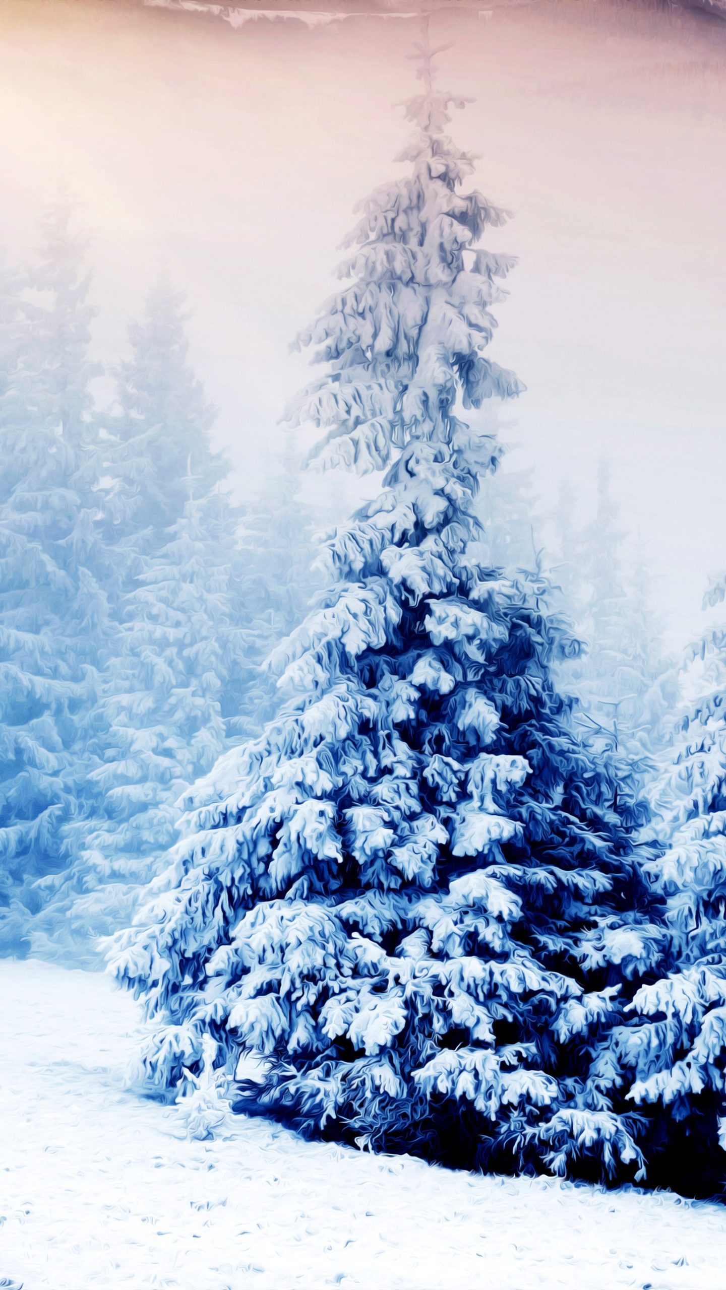 fondo de pantalla 480x854,abeto de colorado,abeto negro de hoja corta,árbol de navidad,árbol,azul