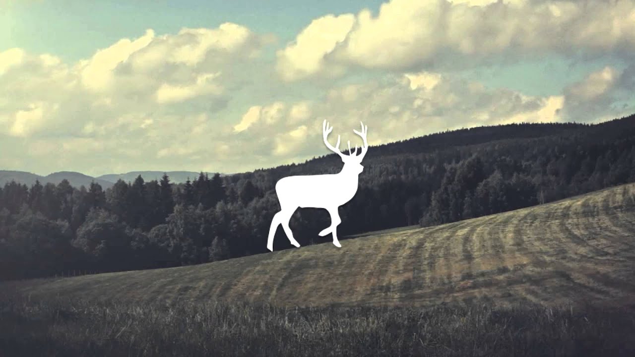 majestic casual wallpaper,sky,wildlife,deer,reindeer,cloud