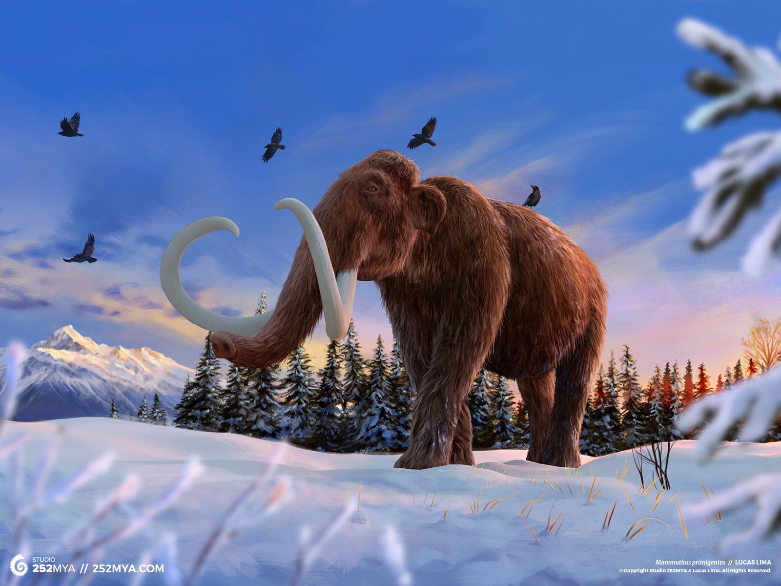 papier peint mammouth,mammouth,éléphants et mammouths,l'éléphant,paysage naturel,faune