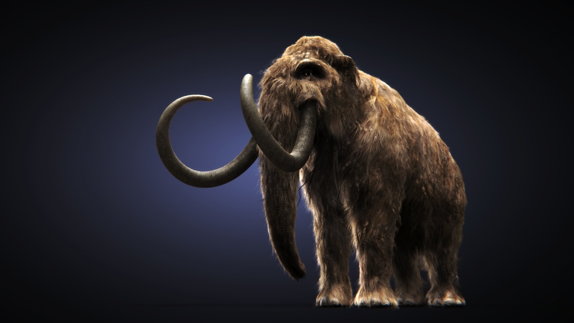 fondo de pantalla de mamut,mamut,elefantes y mamuts,elefante,animal terrestre,fauna silvestre