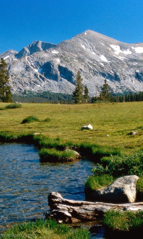 mammut tapete,berg,natürliche landschaft,natur,gebirge,wiese