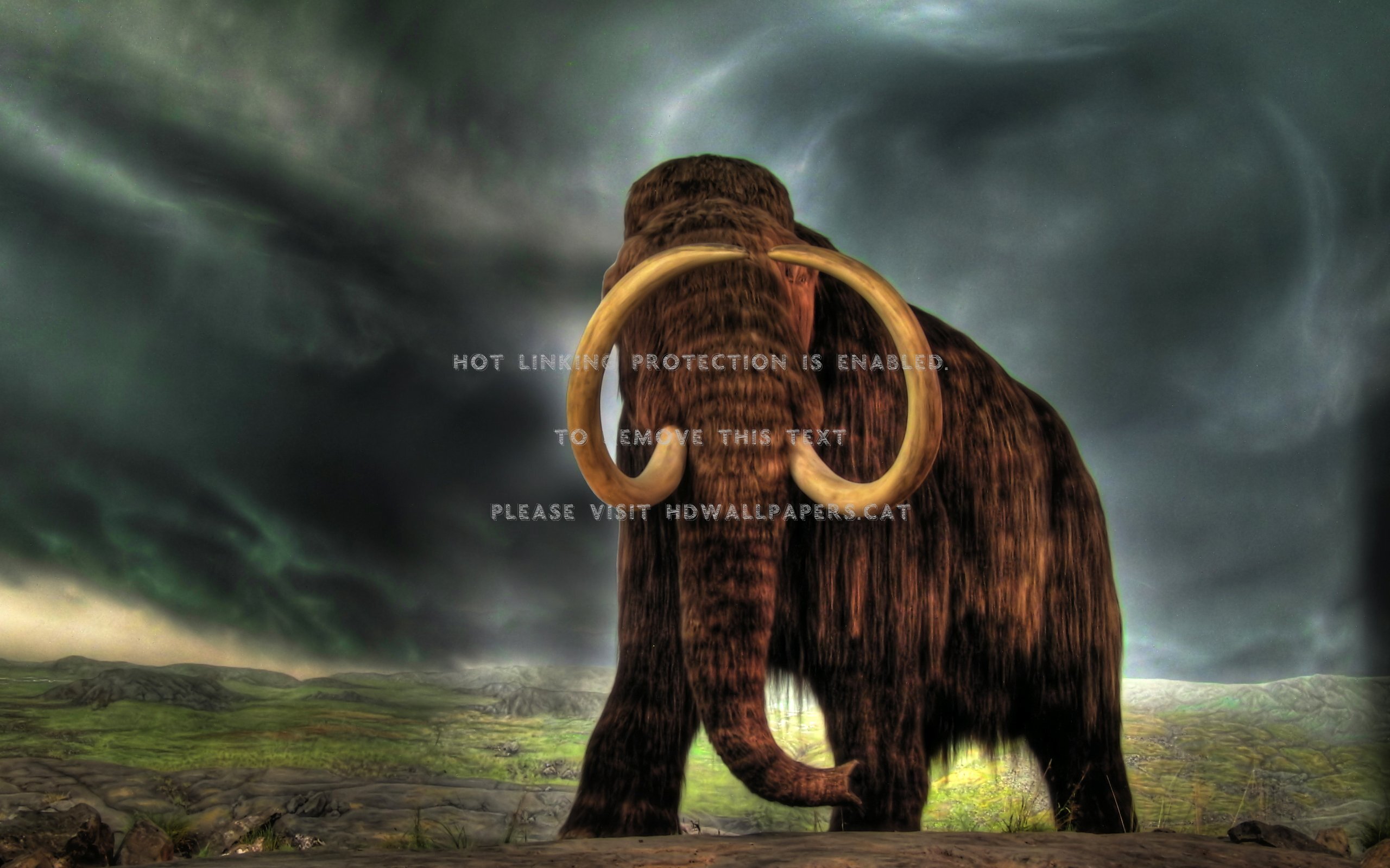 mammoth wallpaper,mammoth,elephants and mammoths,elephant,terrestrial animal,sky