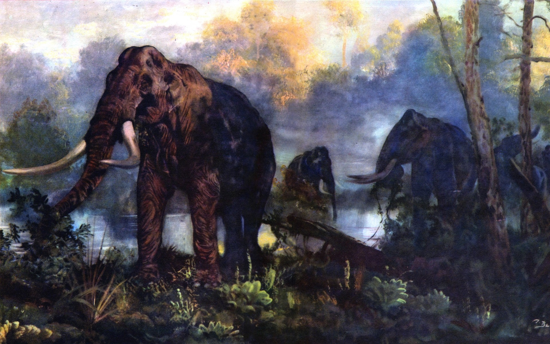 carta da parati mammut,elefanti e mammut,elefante,animale terrestre,natura,pittura