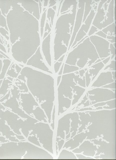 white wallpaper images,branch,tree,twig,woody plant,leaf