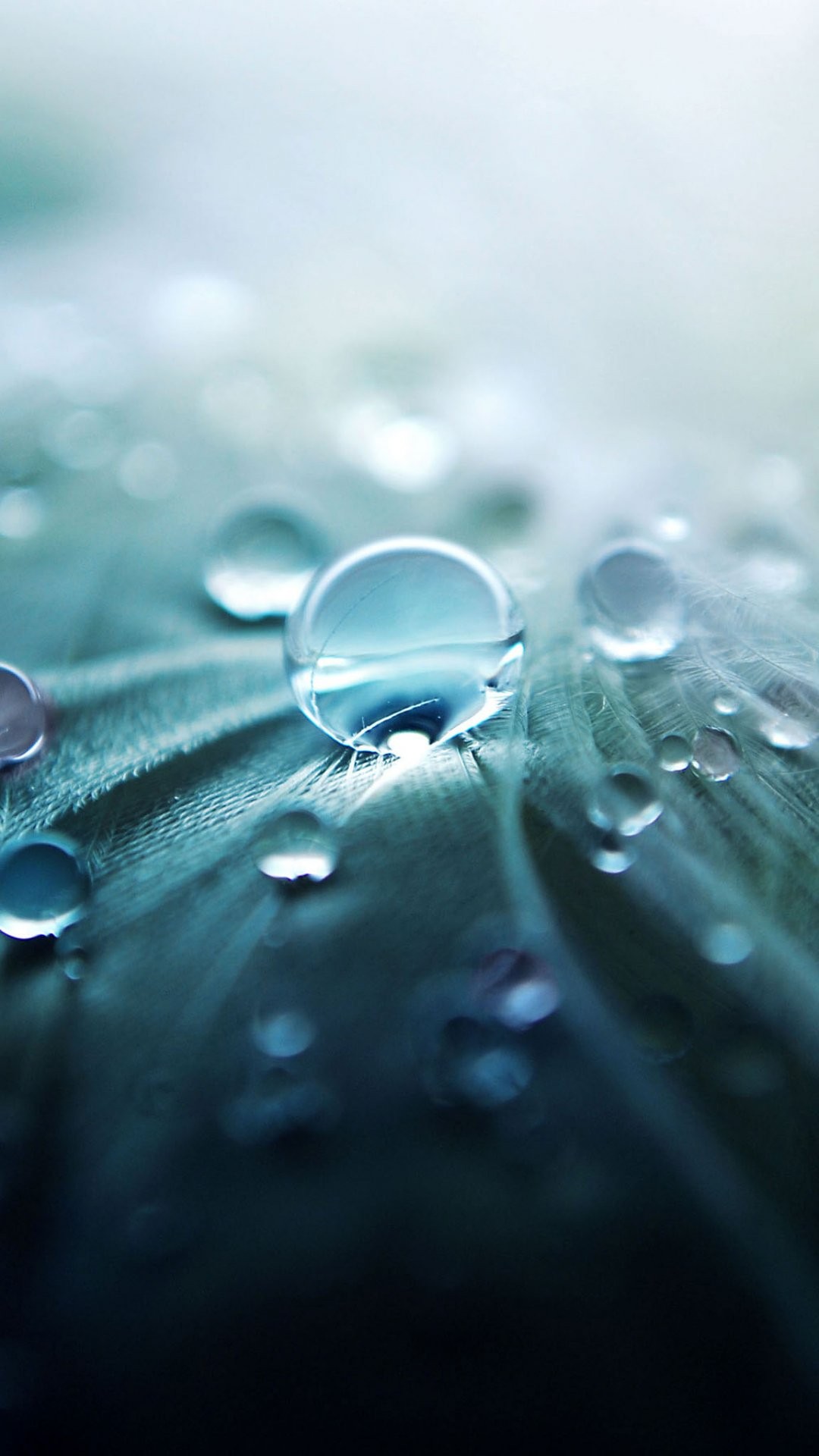 fonds d'écran de téléphone à la mode,laissez tomber,l'eau,bleu,ressources en eau,humidité