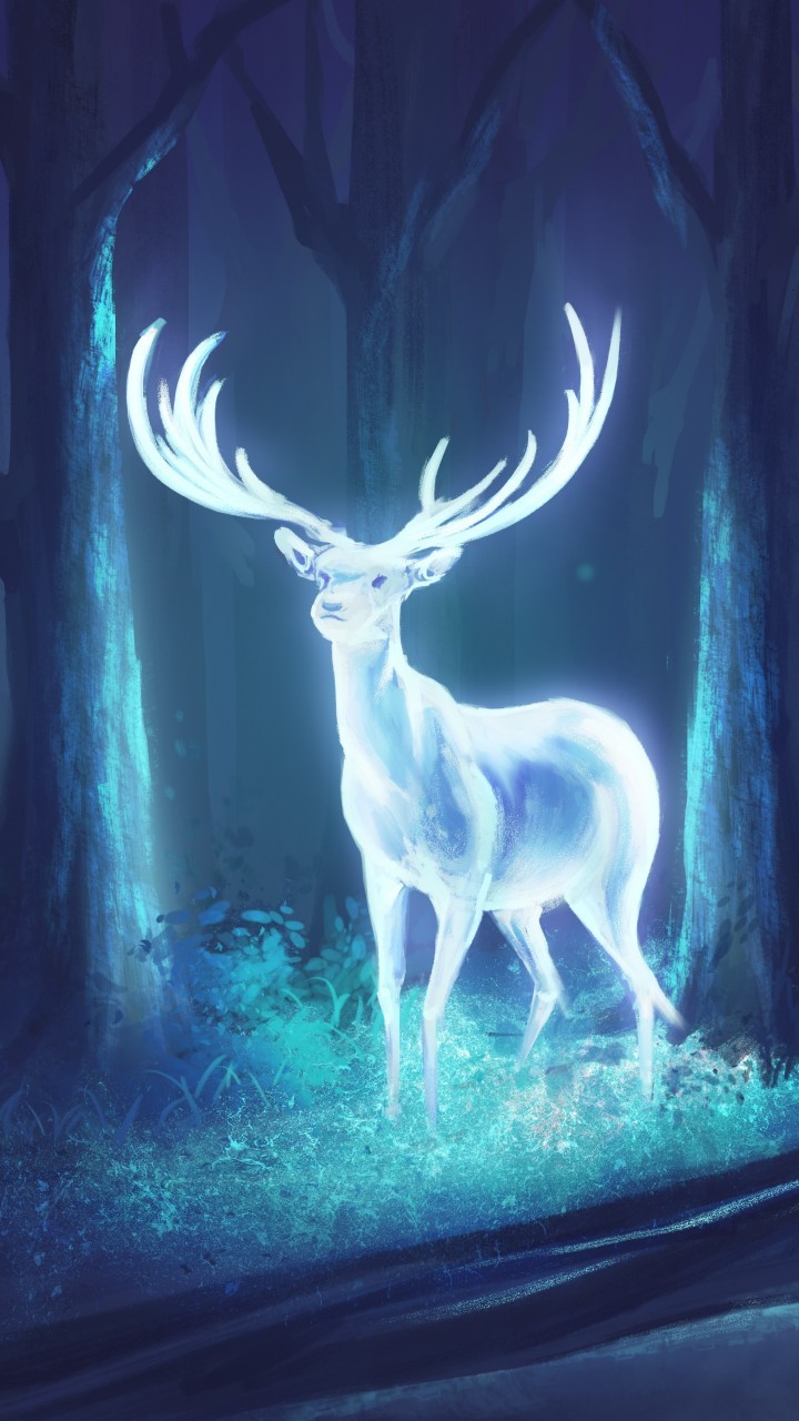 alcatel one touch wallpaper,reindeer,deer,elk,wildlife,horn