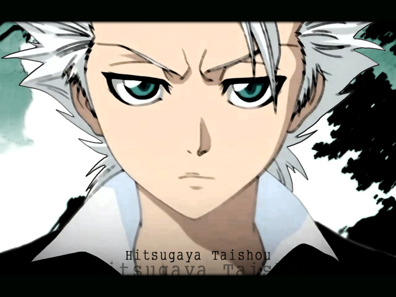 fond d'écran hitsugaya,visage,dessin animé,blanc,anime,front