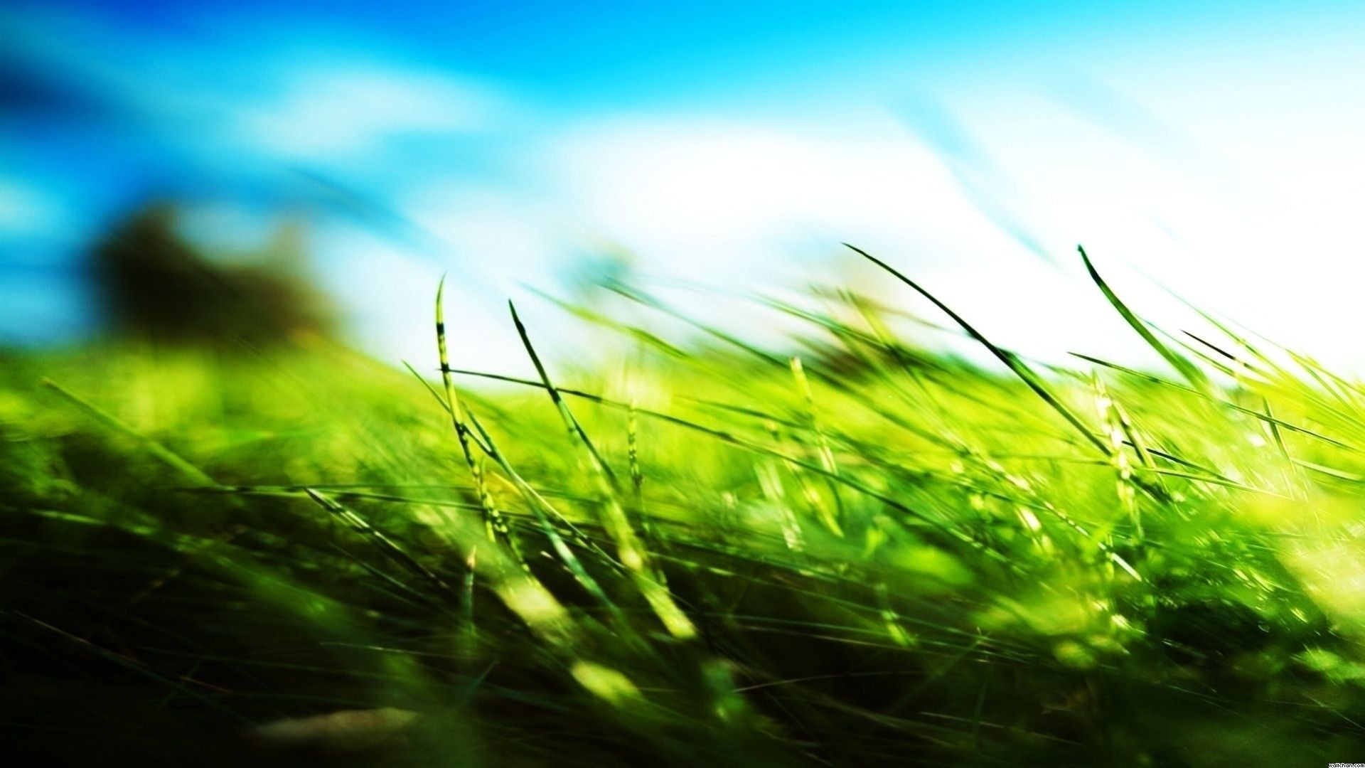 papel tapiz calmante para los ojos,verde,naturaleza,agua,césped,cielo