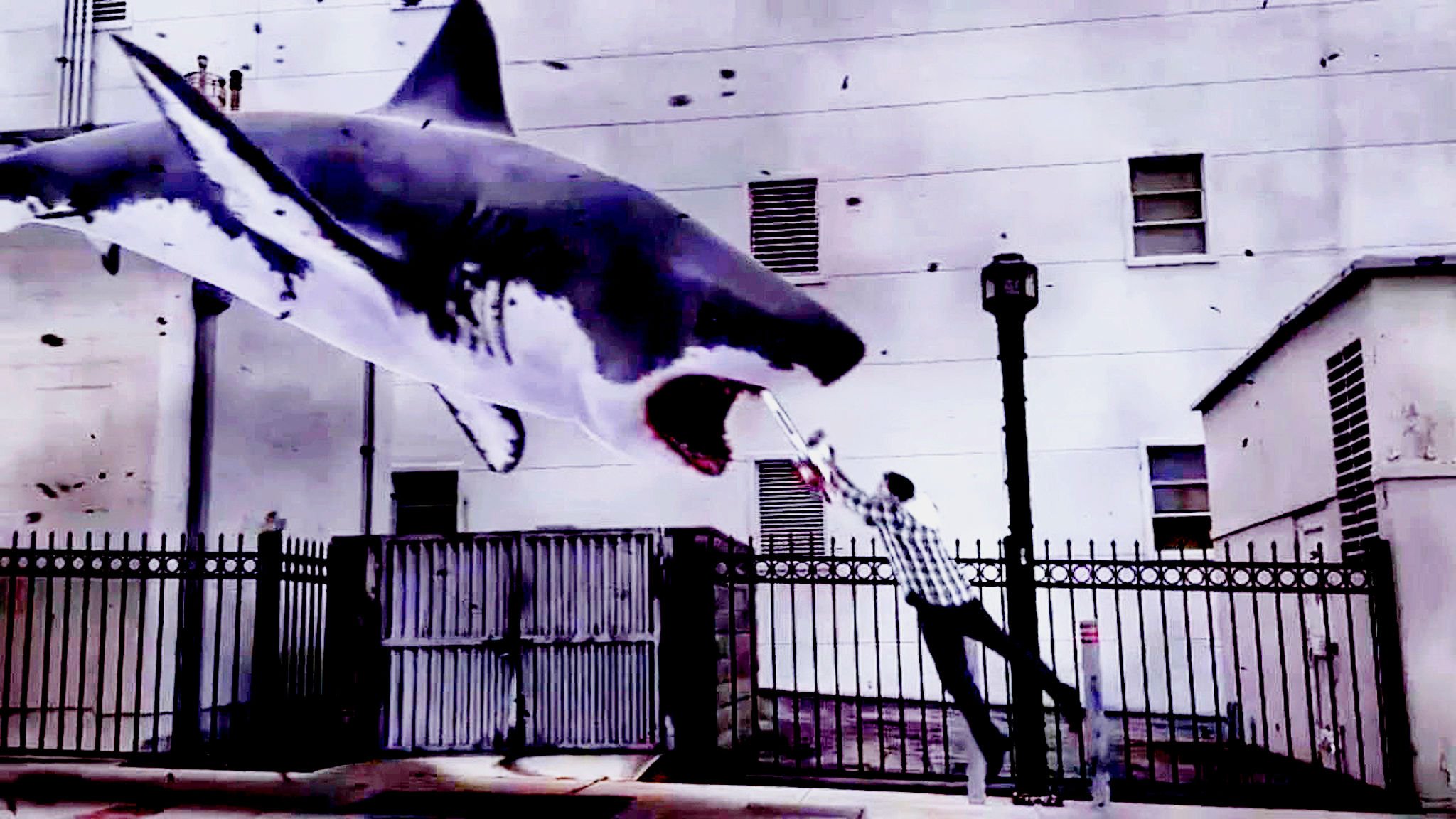 sharknado wallpaper,street art,cartilaginous fish,shark,fish,mural