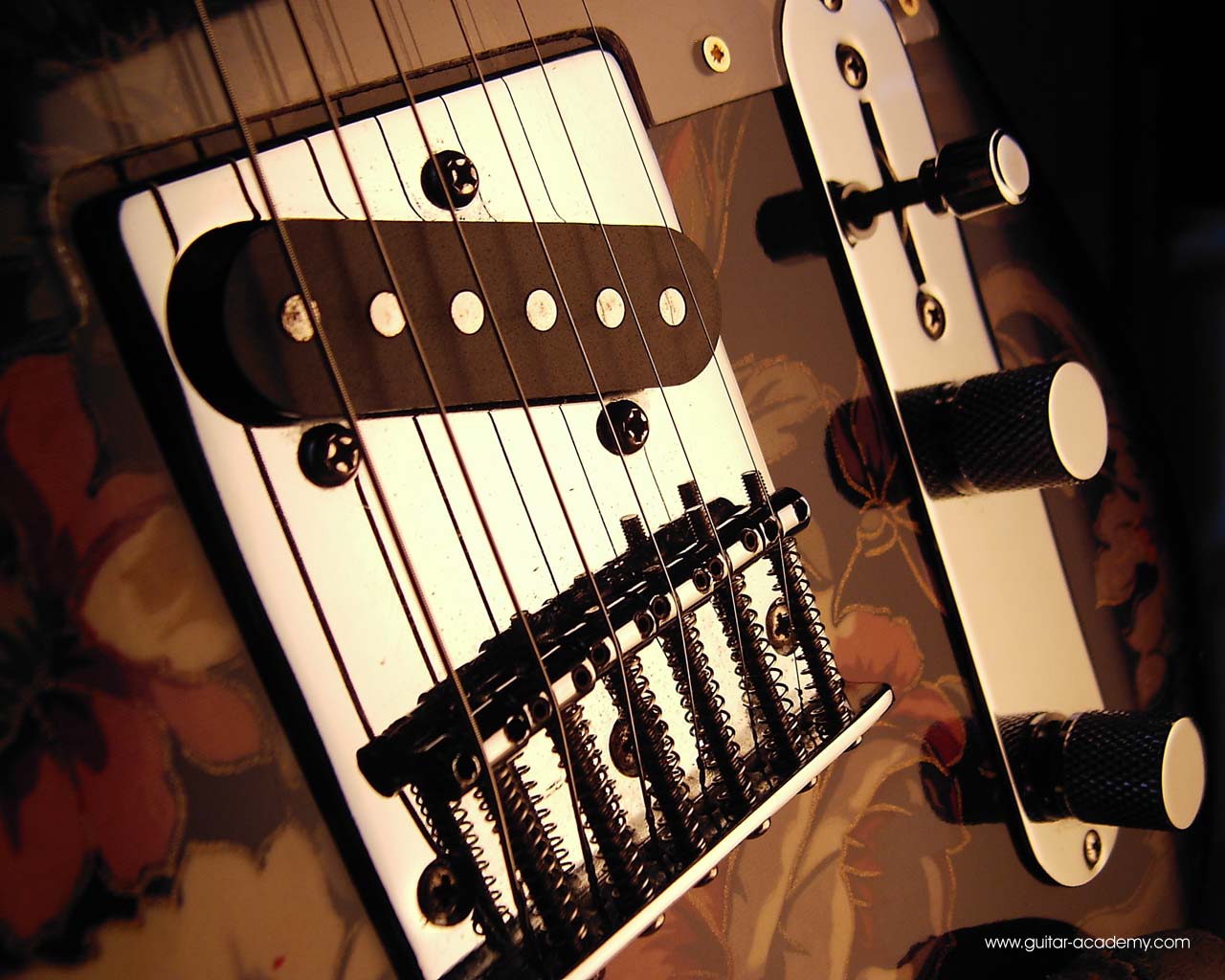 fender telecaster wallpaper,string instrument,musical instrument,guitar,musical instrument accessory,plucked string instruments