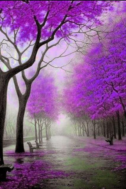 papier peint inspiré de la nature,paysage naturel,la nature,arbre,violet,lavande