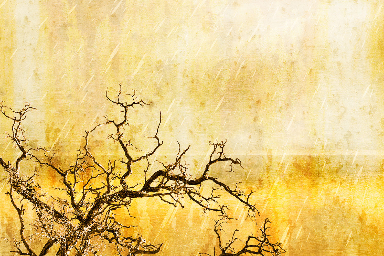 papier peint inspiré de la nature,jaune,orange,arbre,ciel,arts visuels