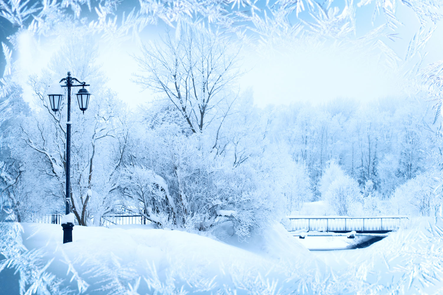 nature inspired wallpaper,snow,winter,freezing,frost,blizzard