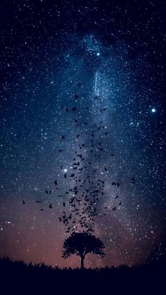 wallpaper estrelas,sky,nature,night,atmospheric phenomenon,atmosphere