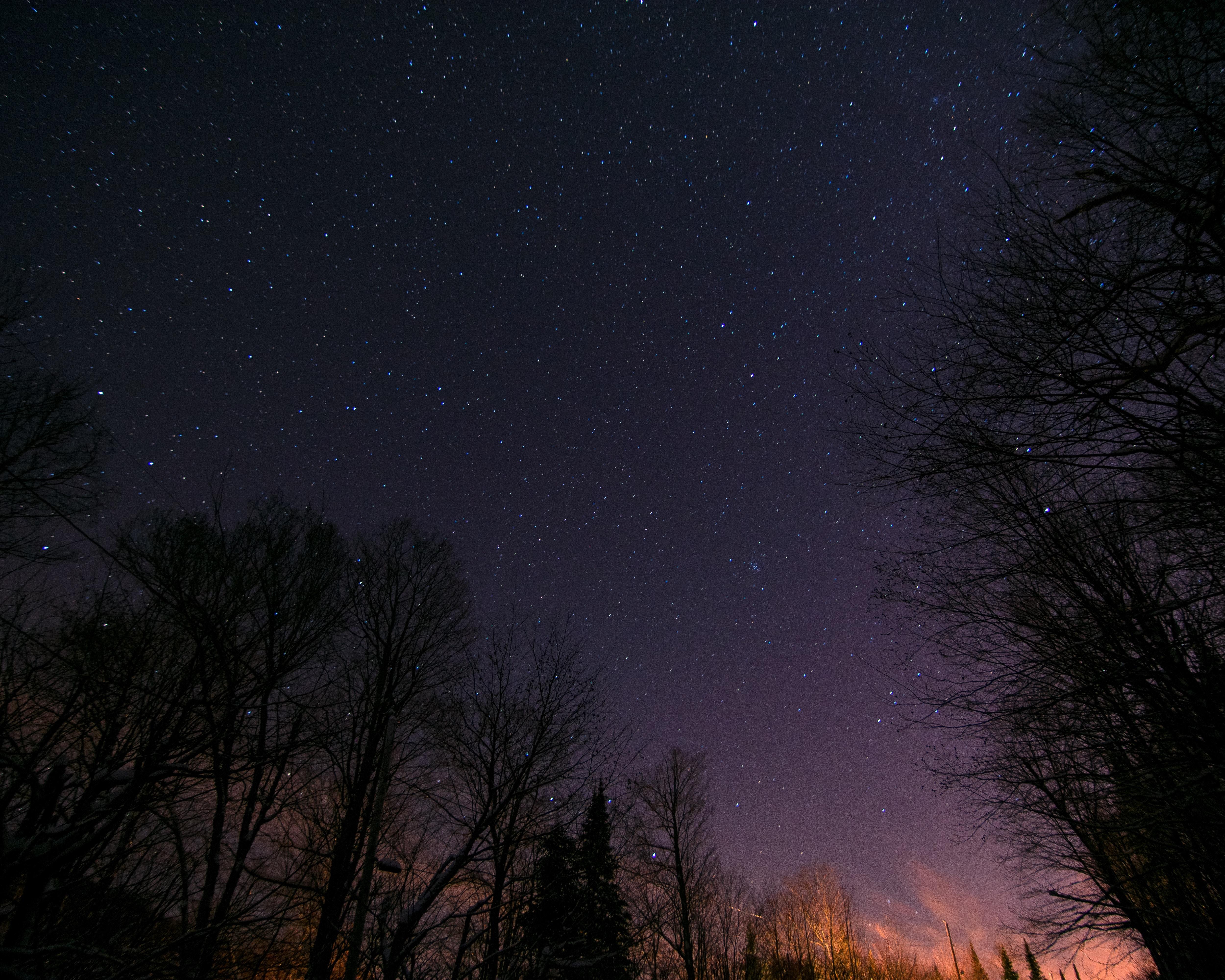 wallpaper estrelas,sky,nature,night,tree,atmosphere