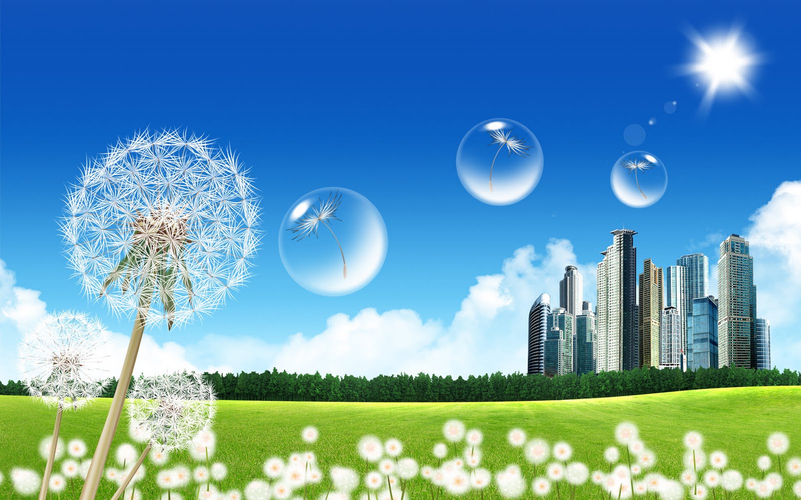 pleasant wallpapers for mobile,sky,dandelion,people in nature,natural landscape,daytime