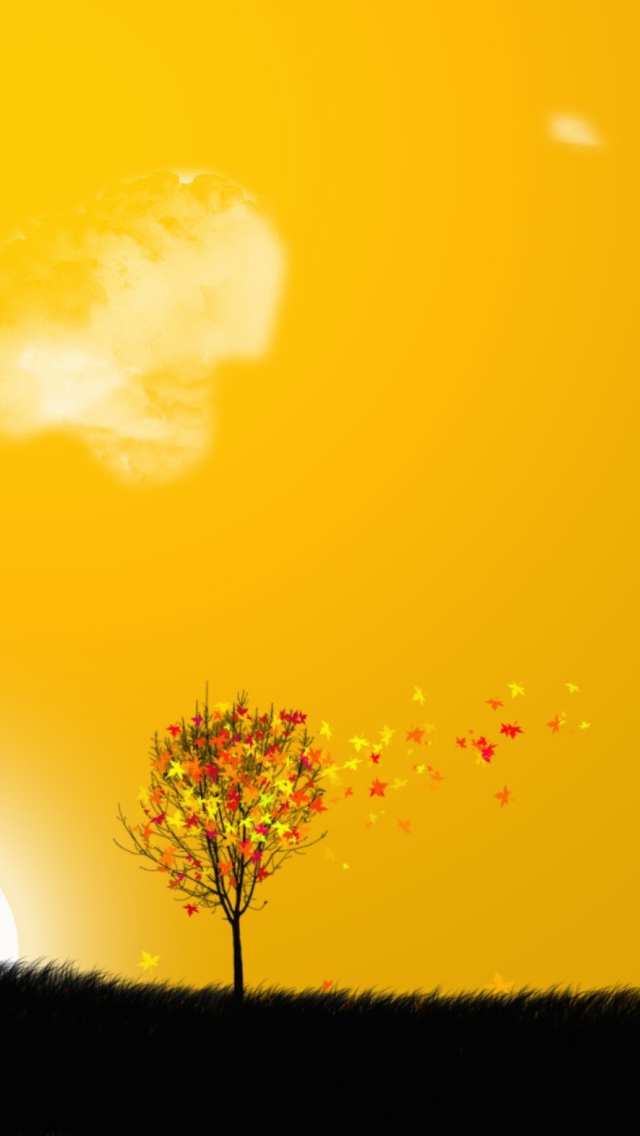 モバイル用の快適な壁紙,空,自然,自然の風景,黄,オレンジ