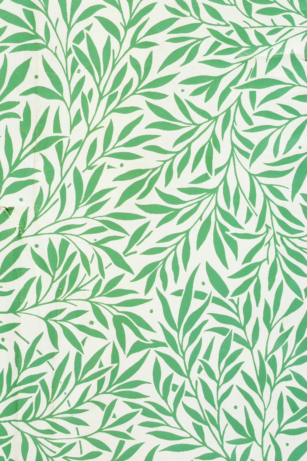 papel tapiz de patrón de sauce,modelo,verde,hoja,planta,diseño
